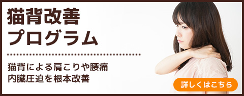 猫背改善プログラム